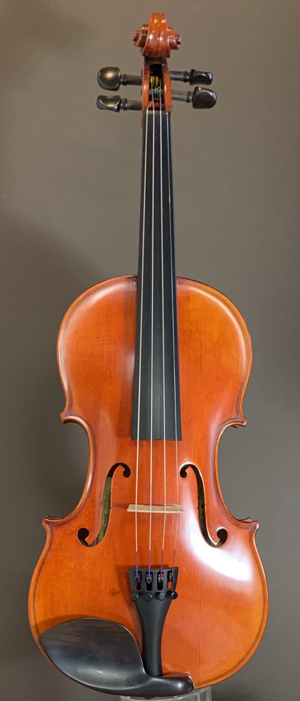 Mendicidad Hormiga Avanzado Century Strings V420S Violin - New - Spruce Tree Music