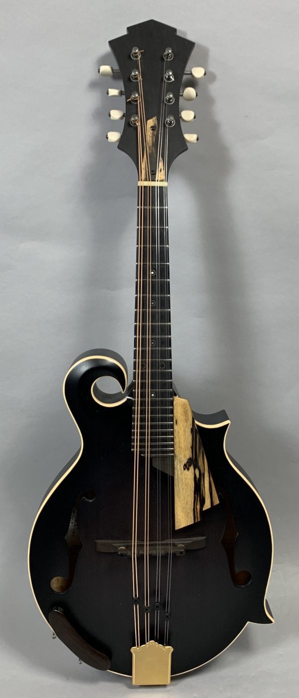 Amesqua F style Mandolin - 2017