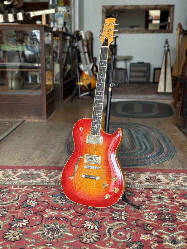 Wilson-Rose Electric Guitar - recent